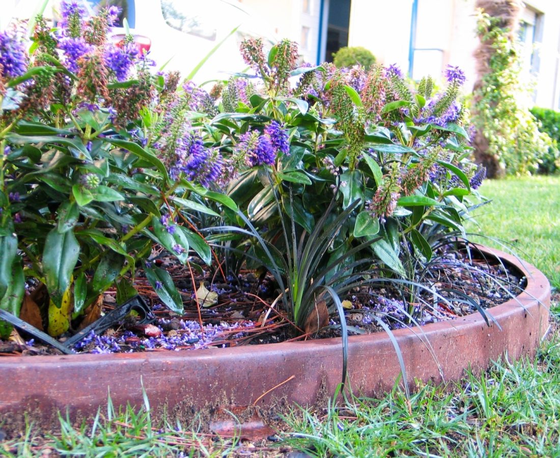 landscape-villaggio--Marzotto-vasche-corten-fiori