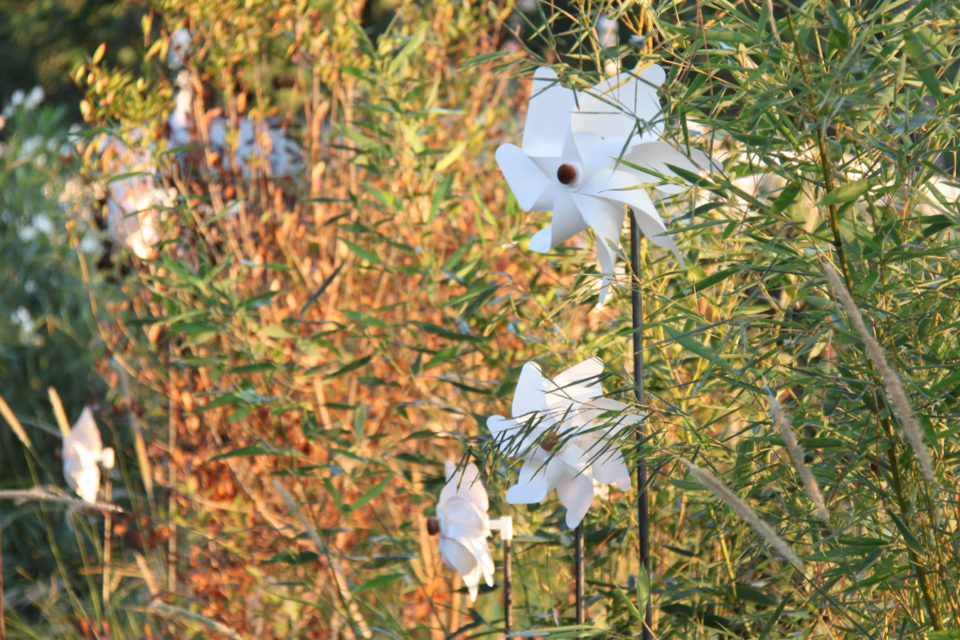 FavrinDesign-malibu-progetto-landscape-design-arte-installazione-white-wind-duna