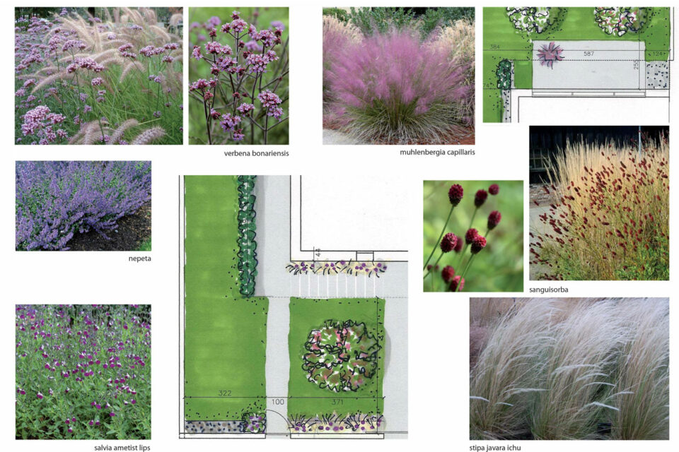 favrindesign-landscape-giardino-progetto-piante