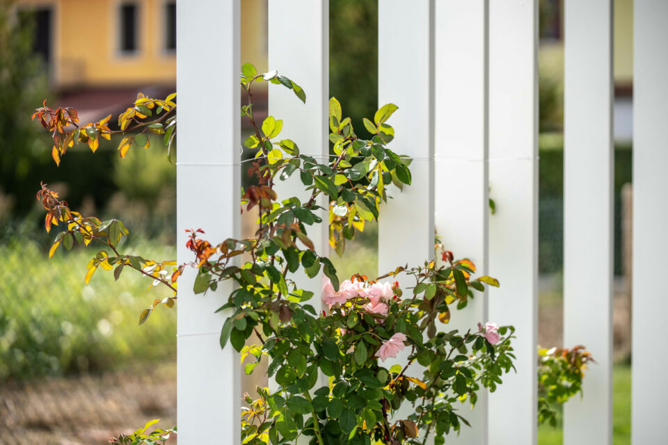 favrindesign-landscape-giardino-rose-ingresso