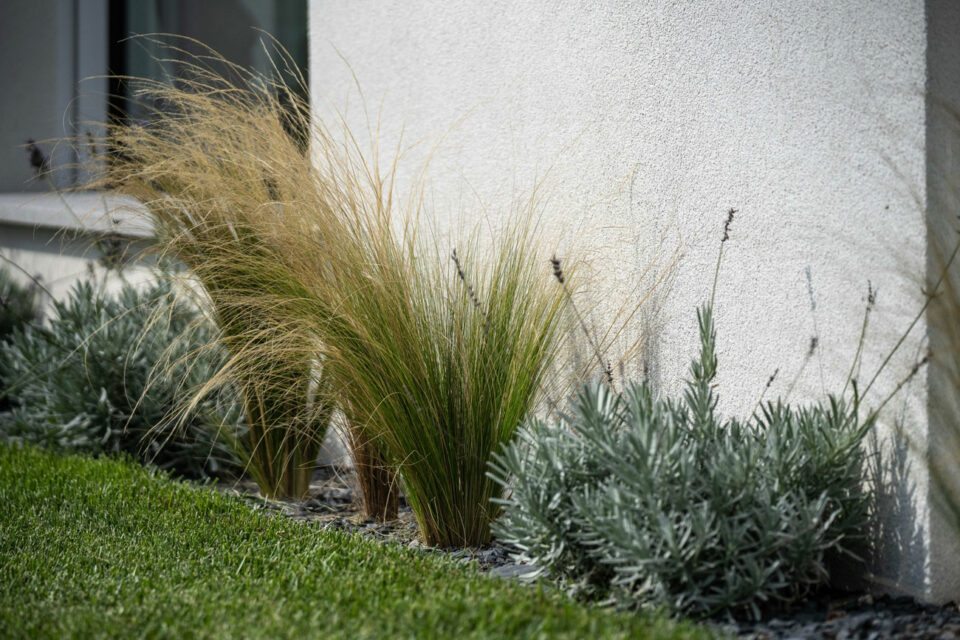 favrindesign-landscape-giardino-stipa