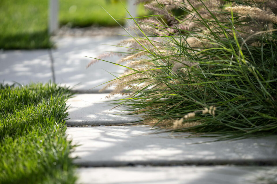 favrindesign-landscape-giardino-stipa-camminamenti