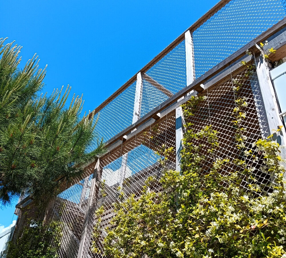 Fd-Unika-Mobil-home-terrazza-rampicanti-landscape