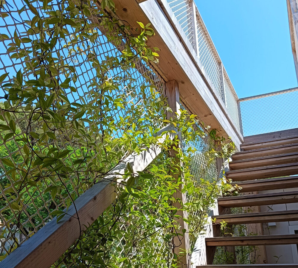 Fd-Unika-Mobil-home-terrazza-rampicanti-scala-legno