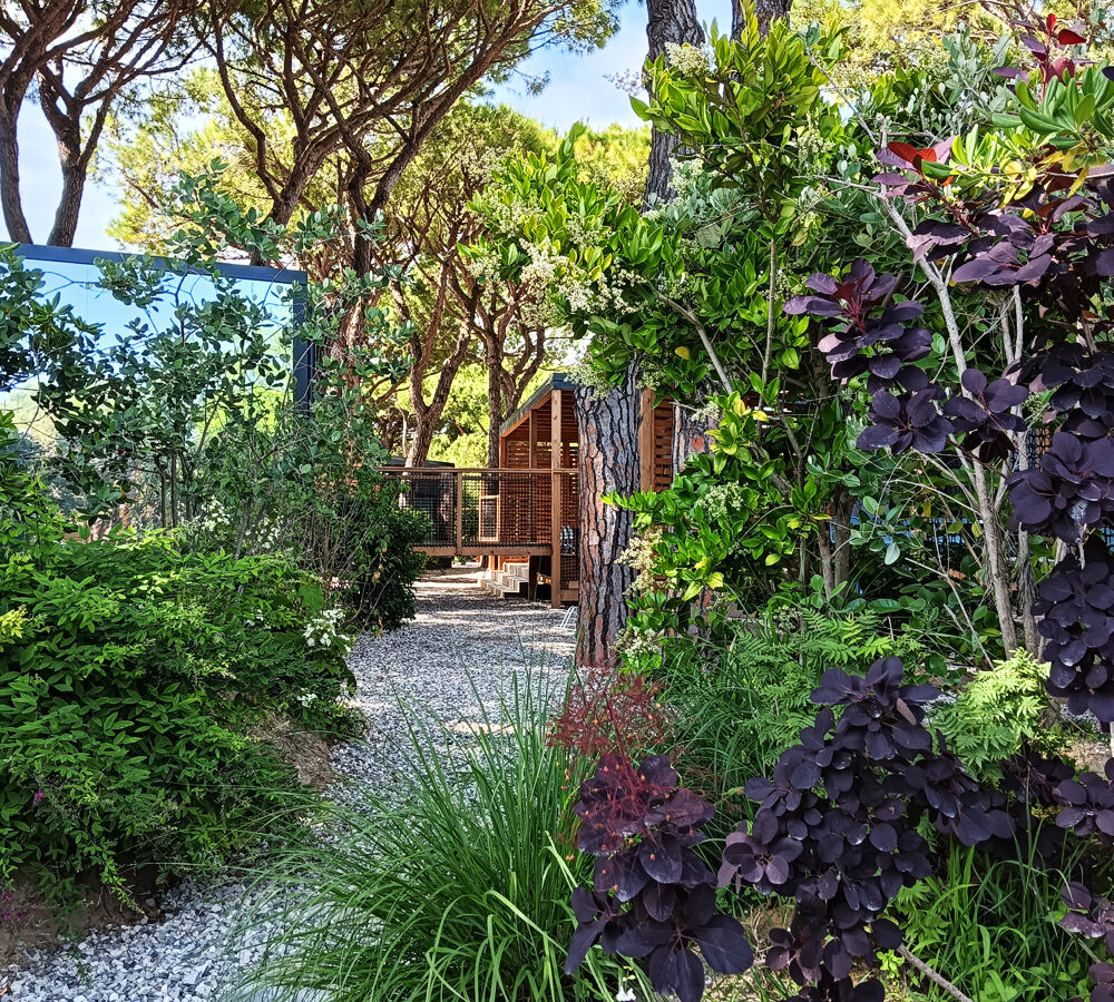Fd-Verdemare-Landscape-pineta