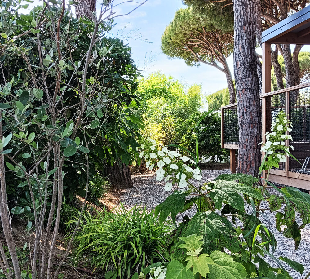 Fd-Verdemare-Landscape-pineta-progetto-verde