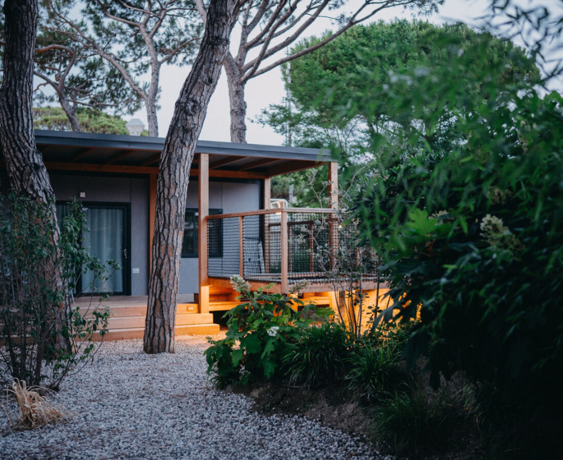 Fd-Verdemare-terrazze-serale-dry-garden